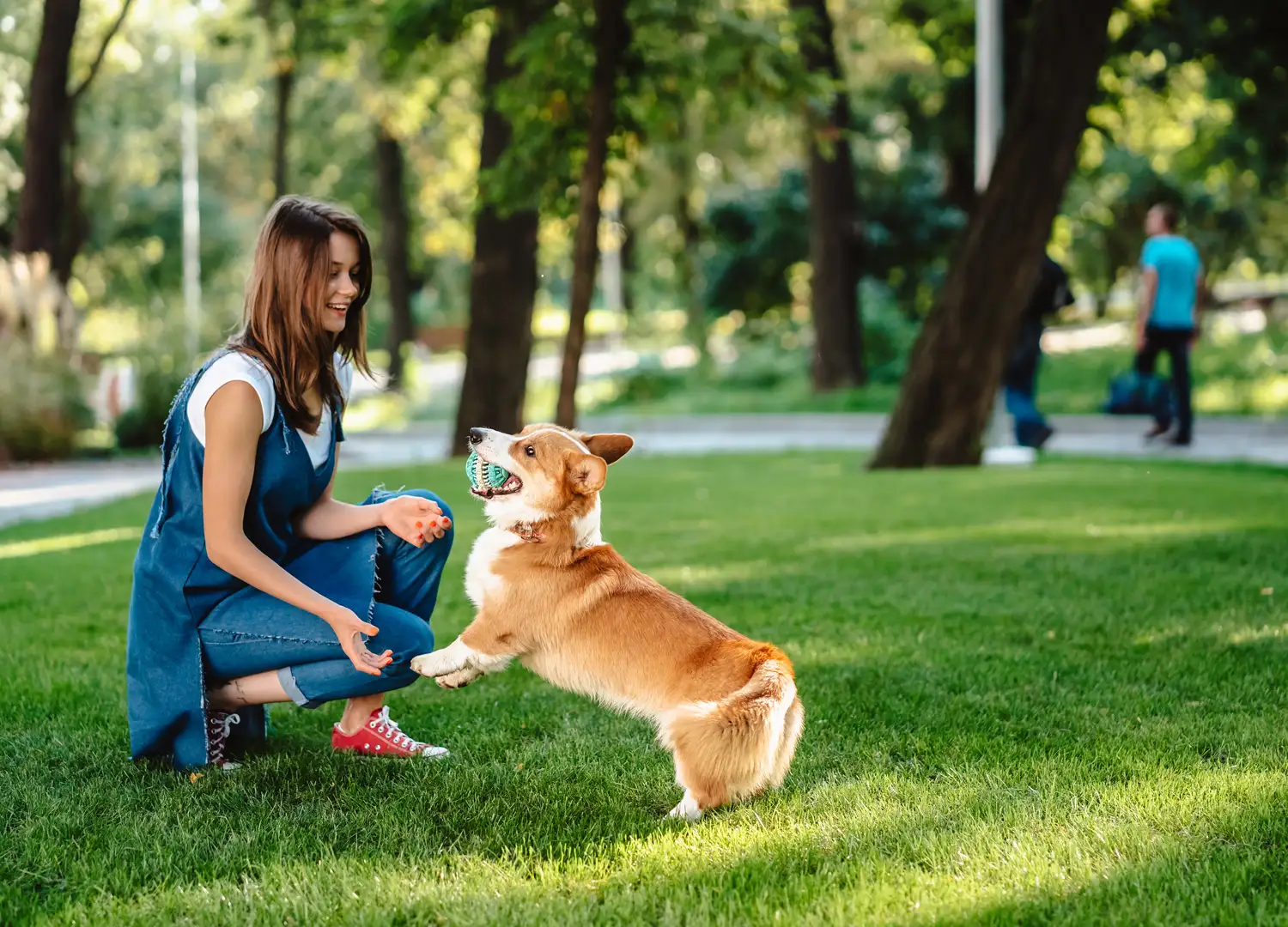 Pets-and-pet-care